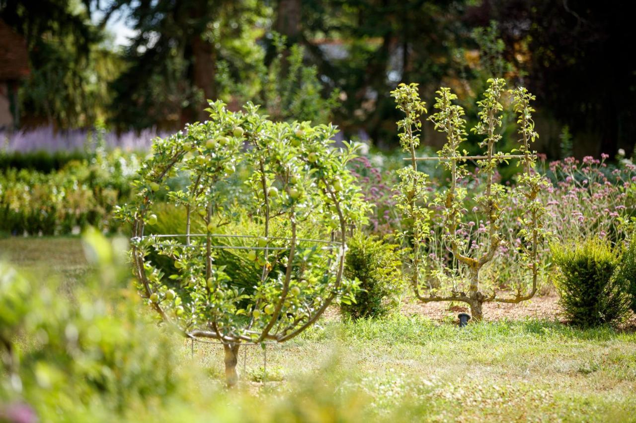 Relais & Chateau Louise De La Valliere Reugny Eksteriør billede